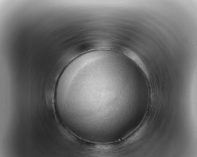 X0000088740954200706071657