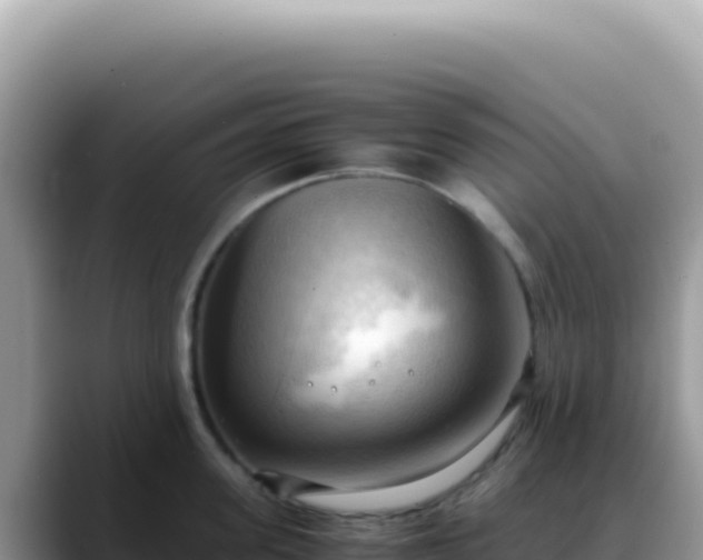 X0000088740955200706071657