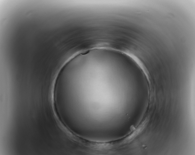 X0000088740957200706071657