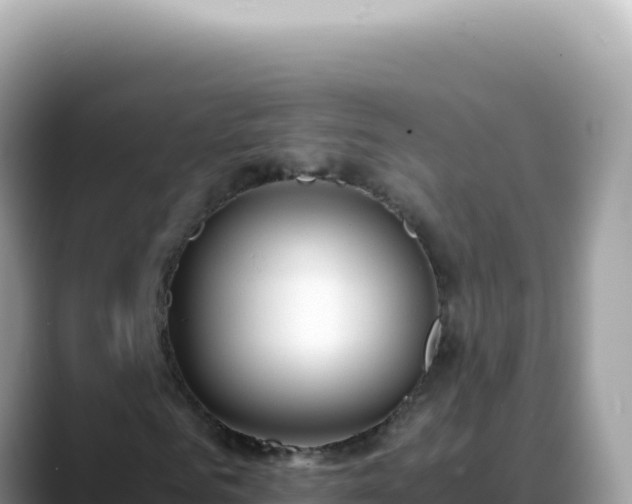 X0000088740961200706071657