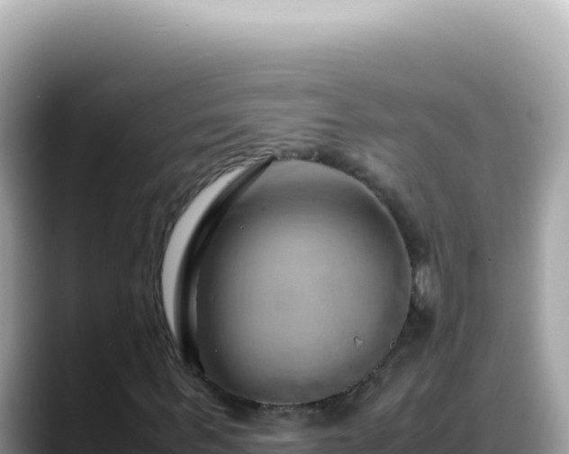 X0000088740963200706071656