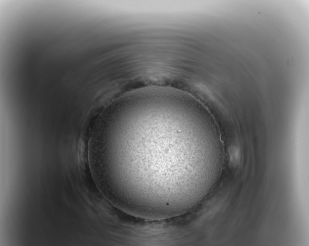 X0000088740964200706071656