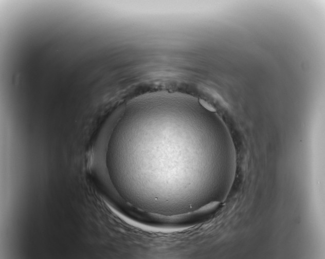 X0000088740965200706071656
