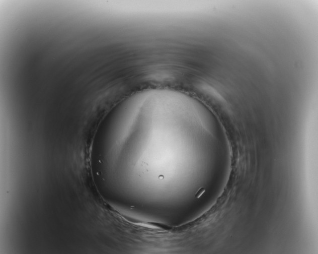 X0000088740966200706071656