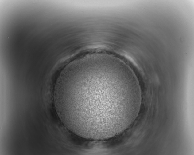 X0000088740967200706071656