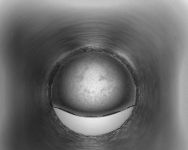 X0000088740968200706071656