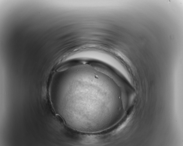 X0000088740969200706071656