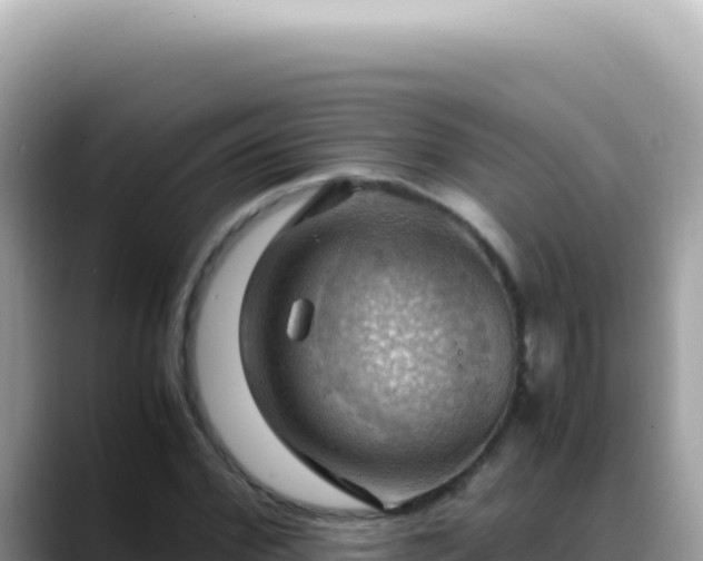 X0000088740972200706071656