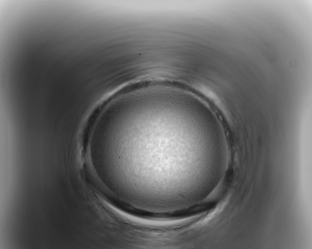 X0000088740973200706071656