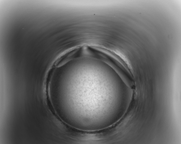 X0000088740976200706071656