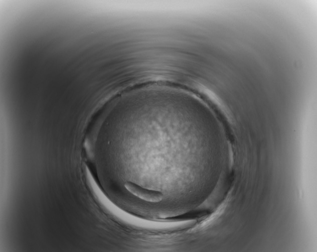 X0000088740977200706071656