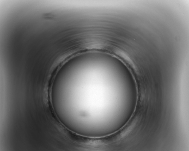 X0000088740978200706071656