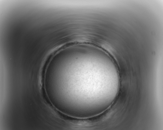 X0000088740979200706071656