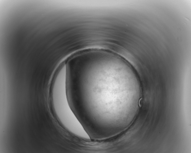 X0000088740980200706071656