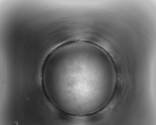 X0000088740981200706071656
