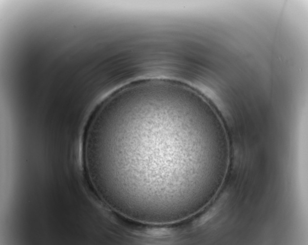 X0000088740982200706071656