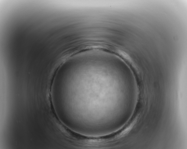 X0000088740985200706071656