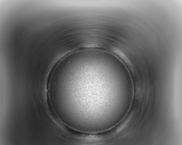 X0000088740986200706071656