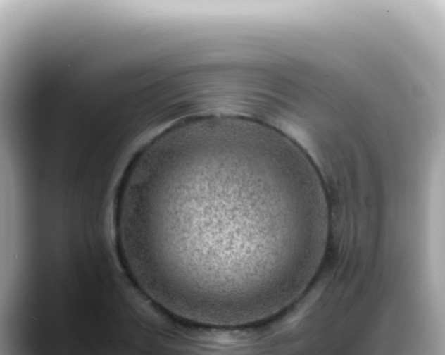 X0000088740987200706071656