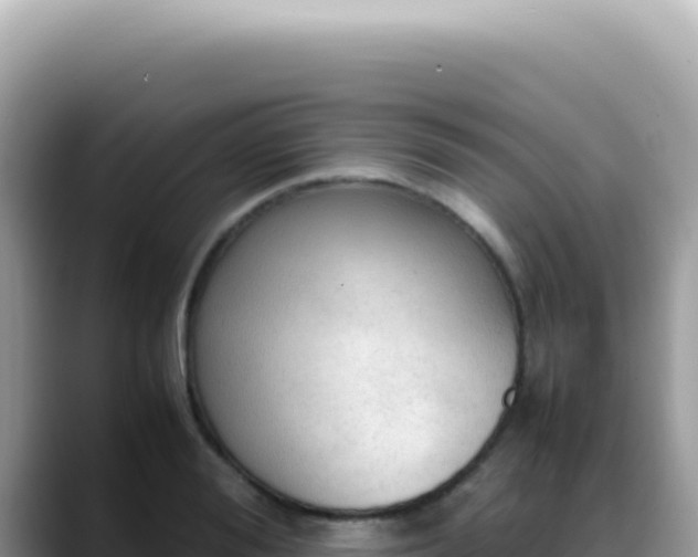 X0000088740988200706071656