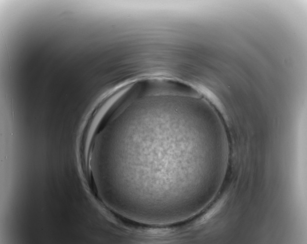 X0000088740989200706071656