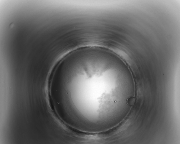 X0000088740990200706071656