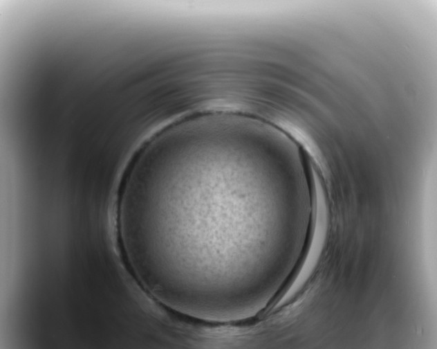 X0000088740992200706071656