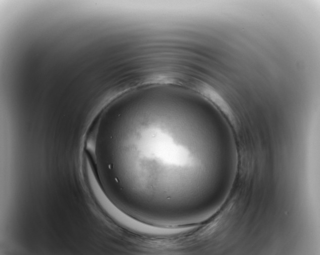 X0000088740994200706071656