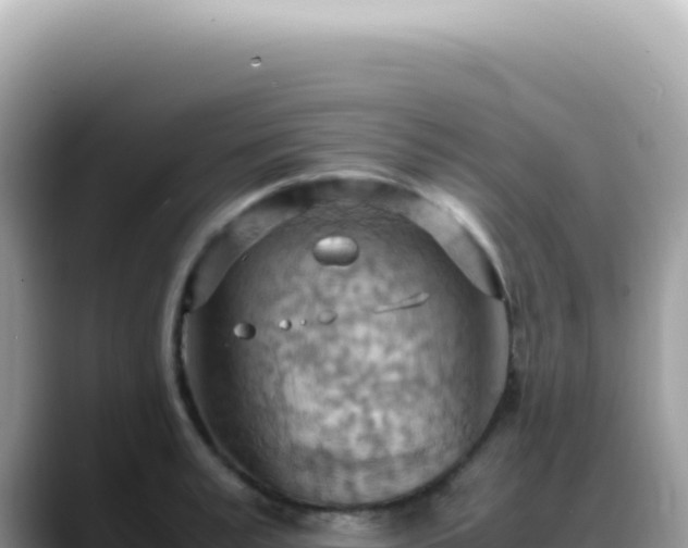 X0000088740995200706071656