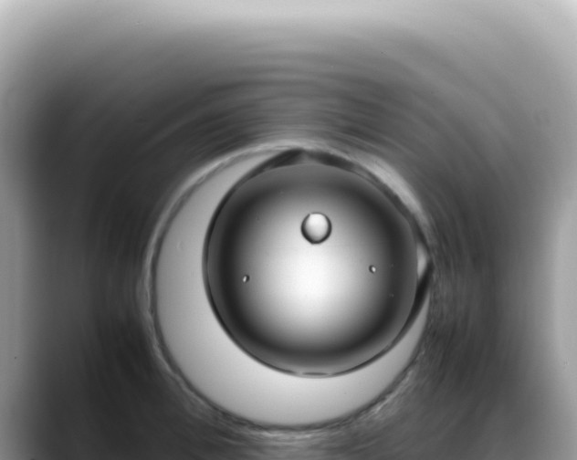 X0000088740996200706071656