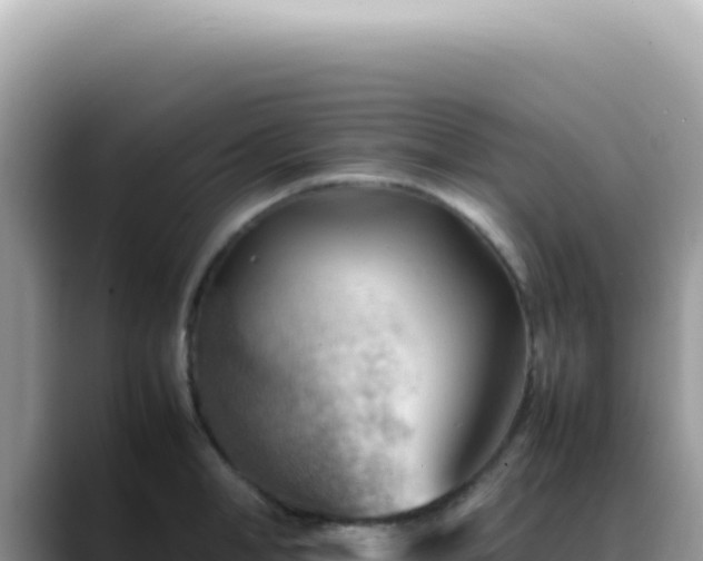 X0000088740998200706071656