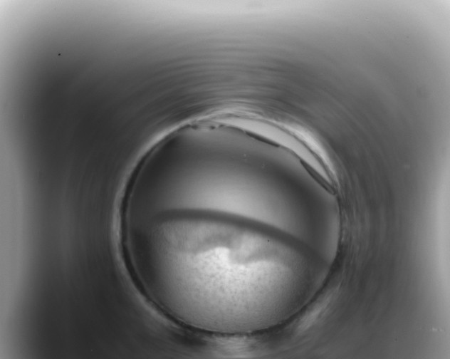 X0000088740999200706071656