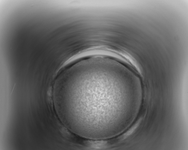 X0000088741001200706071656