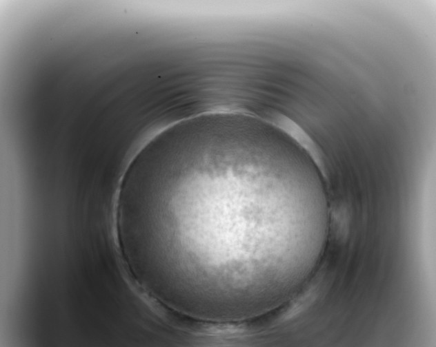 X0000088741002200706071656