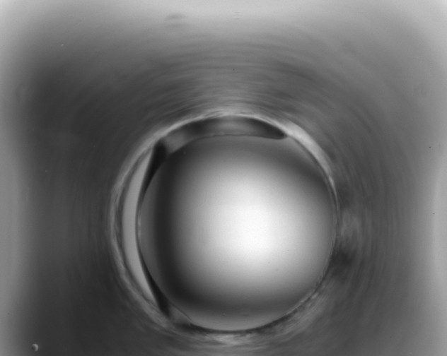 X0000088741005200706071656