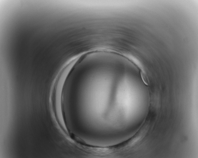 X0000088741007200706071656