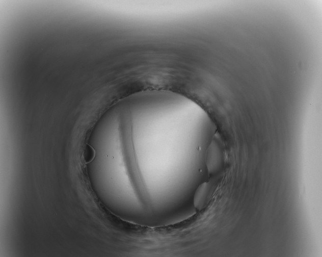 X0000088741009200706071655