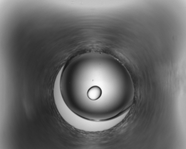 X0000088741010200706071655