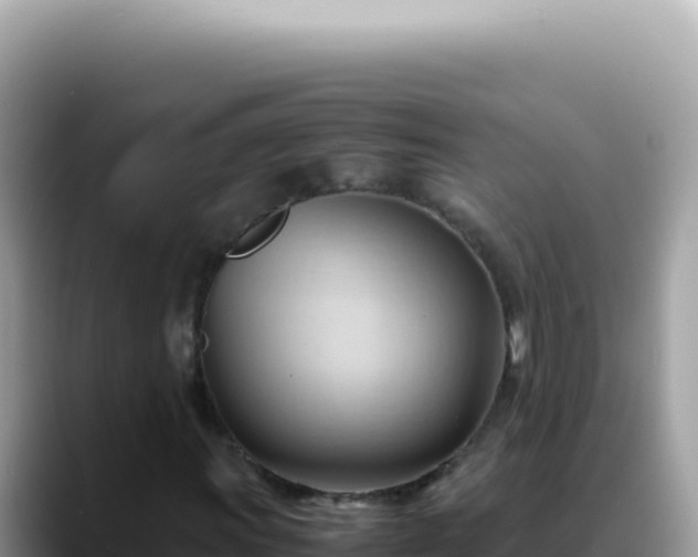 X0000088741011200706071655