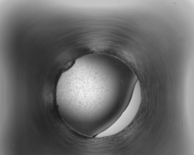 X0000088741012200706071655