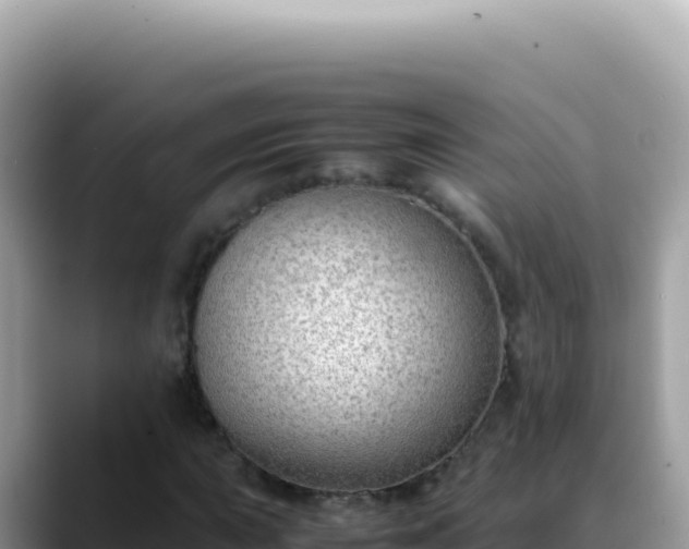 X0000088741015200706071655