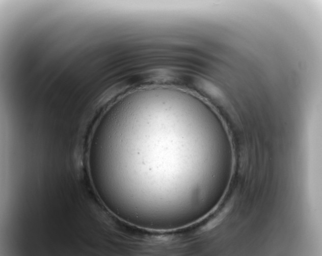 X0000088741017200706071655