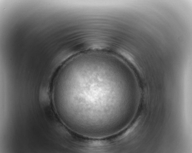 X0000088741018200706071655