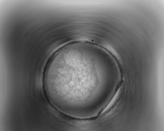 X0000088741020200706071655