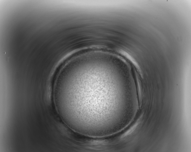 X0000088741021200706071655