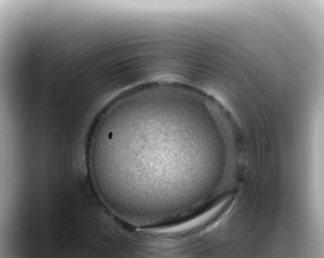 X0000088741022200706071655