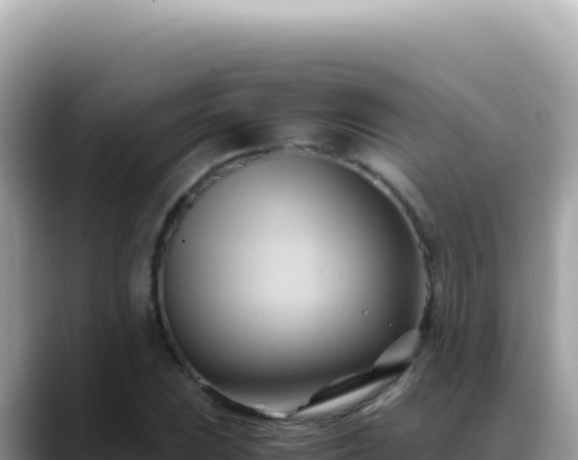 X0000088741023200706071655