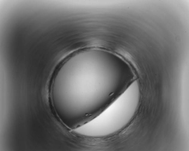 X0000088741024200706071655