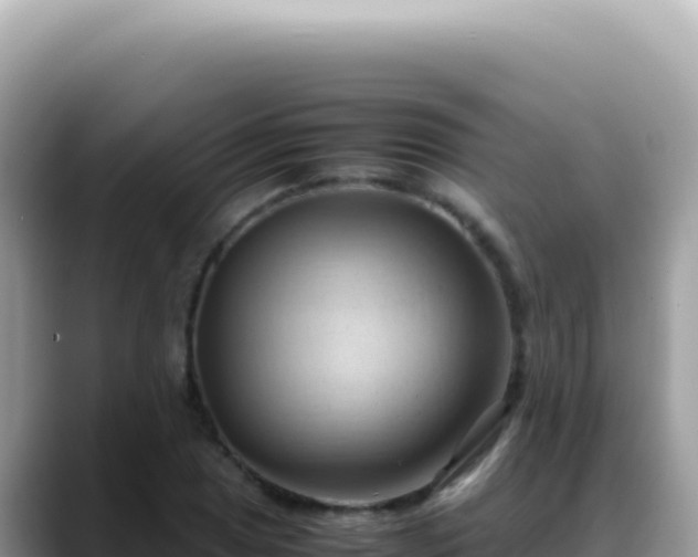 X0000088741025200706071655