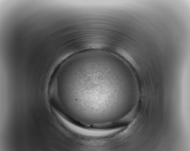 X0000088741026200706071655